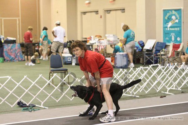 IMG_8820.jpg - Dawg Derby Flyball TournementJuly 11, 2010Classic CenterAthens, Ga