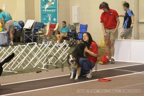 IMG_8821.jpg - Dawg Derby Flyball TournementJuly 11, 2010Classic CenterAthens, Ga