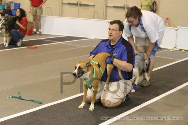 IMG_8823.jpg - Dawg Derby Flyball TournementJuly 11, 2010Classic CenterAthens, Ga