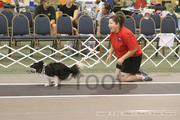 IMG_8830.jpg - Dawg Derby Flyball TournementJuly 11, 2010Classic CenterAthens, Ga