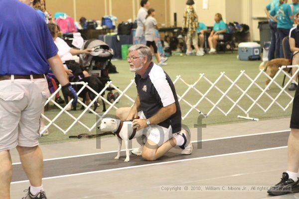 IMG_8888.jpg - Dawg Derby Flyball TournementJuly 11, 2010Classic CenterAthens, Ga