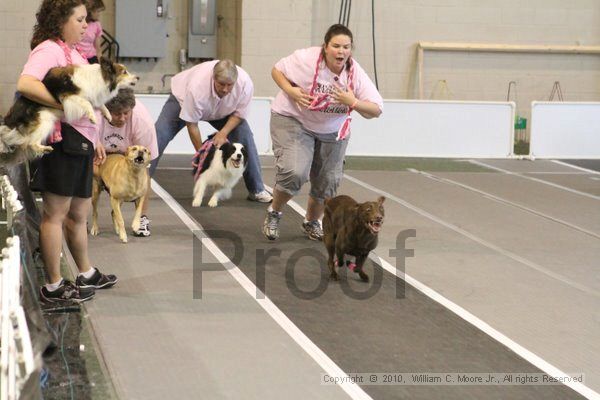 IMG_8909.jpg - Dawg Derby Flyball TournementJuly 11, 2010Classic CenterAthens, Ga