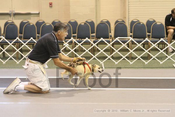 IMG_8916.jpg - Dawg Derby Flyball TournementJuly 11, 2010Classic CenterAthens, Ga