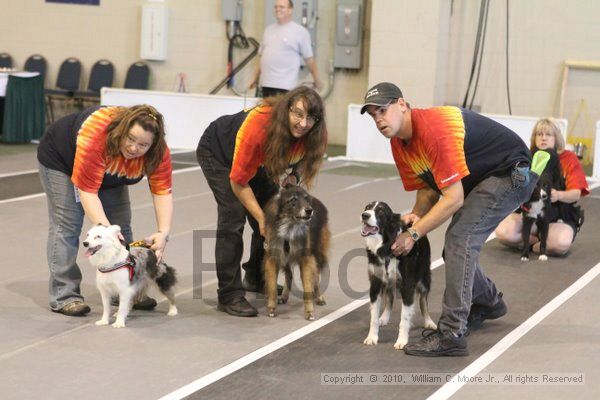 IMG_8958.jpg - Dawg Derby Flyball TournementJuly 11, 2010Classic CenterAthens, Ga