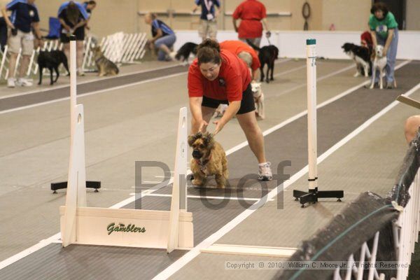 IMG_8977.jpg - Dawg Derby Flyball TournementJuly 11, 2010Classic CenterAthens, Ga