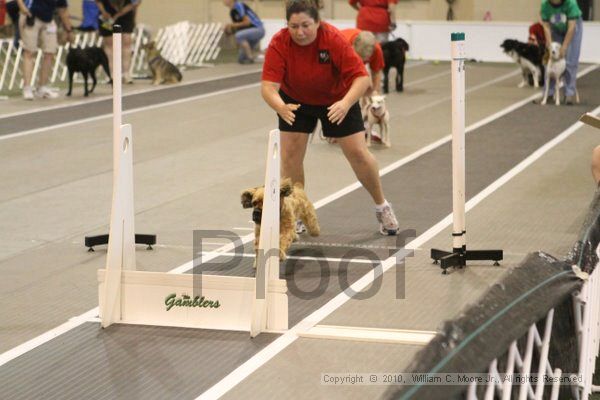 IMG_8978.jpg - Dawg Derby Flyball TournementJuly 11, 2010Classic CenterAthens, Ga