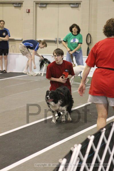 IMG_9002.jpg - Dawg Derby Flyball TournementJuly 11, 2010Classic CenterAthens, Ga