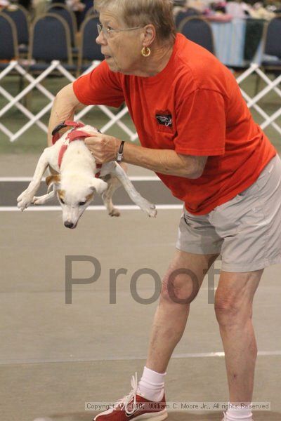 IMG_9005.jpg - Dawg Derby Flyball TournementJuly 11, 2010Classic CenterAthens, Ga