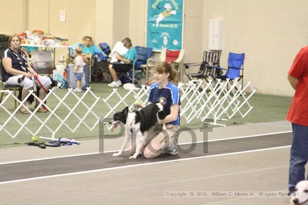 IMG_9006.jpg - Dawg Derby Flyball TournementJuly 11, 2010Classic CenterAthens, Ga