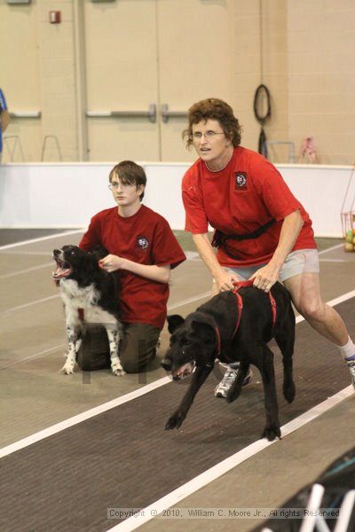 IMG_9011.jpg - Dawg Derby Flyball TournementJuly 11, 2010Classic CenterAthens, Ga