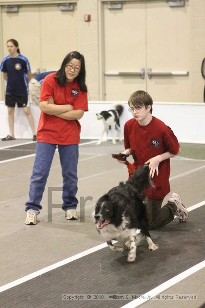 IMG_9012.jpg - Dawg Derby Flyball TournementJuly 11, 2010Classic CenterAthens, Ga