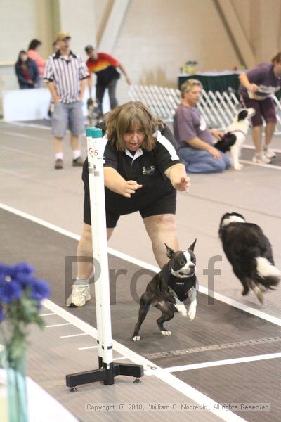 IMG_9015.jpg - Dawg Derby Flyball TournementJuly 11, 2010Classic CenterAthens, Ga