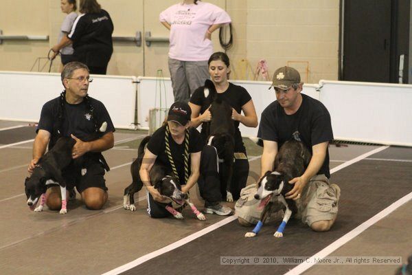 IMG_9040.jpg - Dawg Derby Flyball TournementJuly 11, 2010Classic CenterAthens, Ga