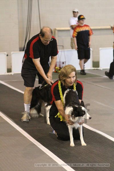 IMG_9056.jpg - Dawg Derby Flyball TournementJuly 11, 2010Classic CenterAthens, Ga