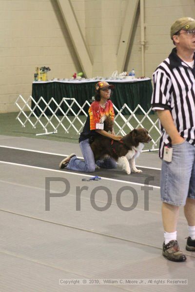 IMG_9058.jpg - Dawg Derby Flyball TournementJuly 11, 2010Classic CenterAthens, Ga