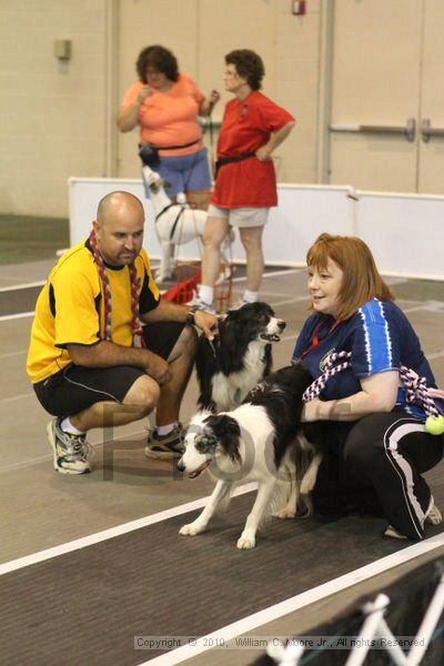 IMG_9060.jpg - Dawg Derby Flyball TournementJuly 11, 2010Classic CenterAthens, Ga