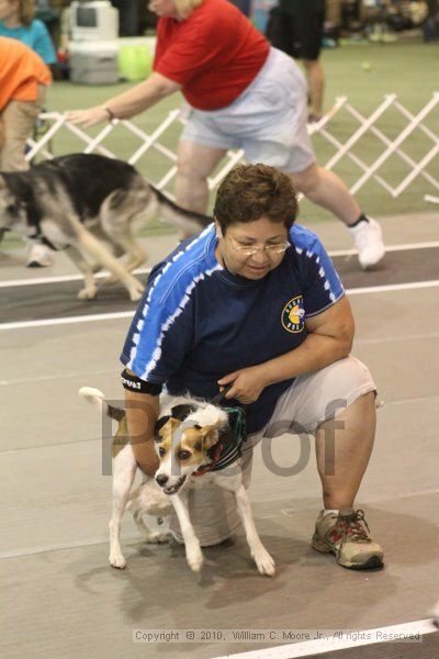 IMG_9061.jpg - Dawg Derby Flyball TournementJuly 11, 2010Classic CenterAthens, Ga