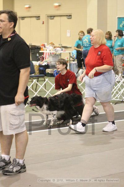 IMG_9062.jpg - Dawg Derby Flyball TournementJuly 11, 2010Classic CenterAthens, Ga