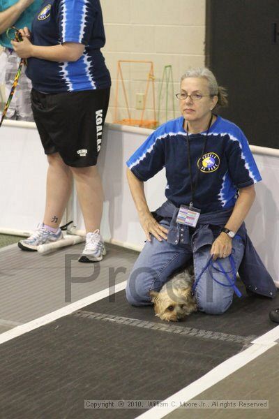 IMG_9069.jpg - Dawg Derby Flyball TournementJuly 11, 2010Classic CenterAthens, Ga