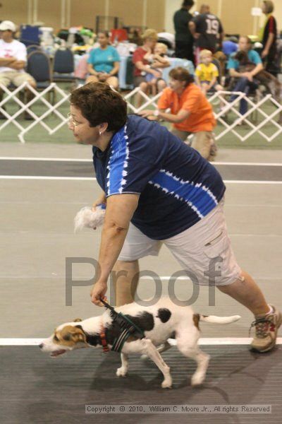 IMG_9073.jpg - Dawg Derby Flyball TournementJuly 11, 2010Classic CenterAthens, Ga