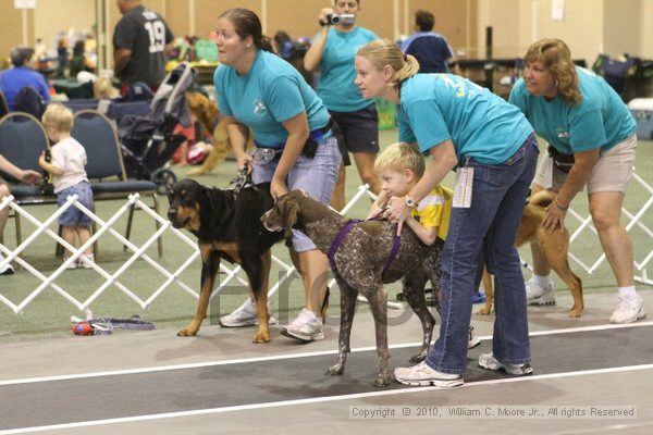 IMG_9075.jpg - Dawg Derby Flyball TournementJuly 11, 2010Classic CenterAthens, Ga