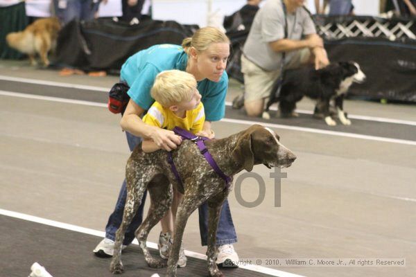 IMG_9077.jpg - Dawg Derby Flyball TournementJuly 11, 2010Classic CenterAthens, Ga