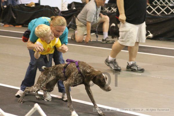 IMG_9079.jpg - Dawg Derby Flyball TournementJuly 11, 2010Classic CenterAthens, Ga