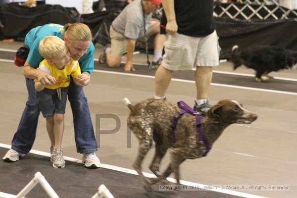 IMG_9080.jpg - Dawg Derby Flyball TournementJuly 11, 2010Classic CenterAthens, Ga