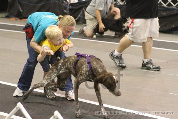 IMG_9082.jpg - Dawg Derby Flyball TournementJuly 11, 2010Classic CenterAthens, Ga