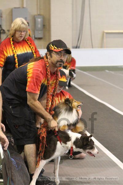 IMG_9094.jpg - Dawg Derby Flyball TournementJuly 11, 2010Classic CenterAthens, Ga