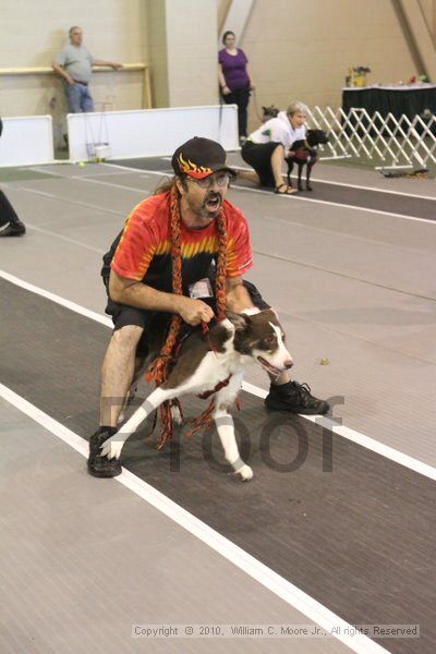 IMG_9095.jpg - Dawg Derby Flyball TournementJuly 11, 2010Classic CenterAthens, Ga