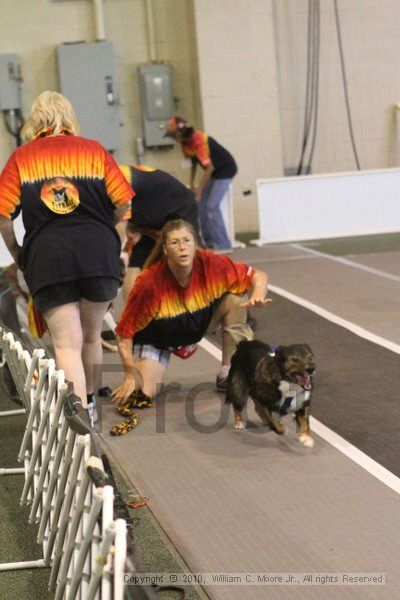 IMG_9100.jpg - Dawg Derby Flyball TournementJuly 11, 2010Classic CenterAthens, Ga