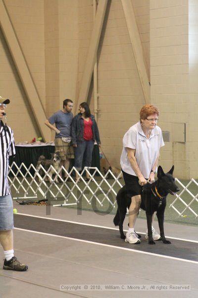 IMG_9103.jpg - Dawg Derby Flyball TournementJuly 11, 2010Classic CenterAthens, Ga