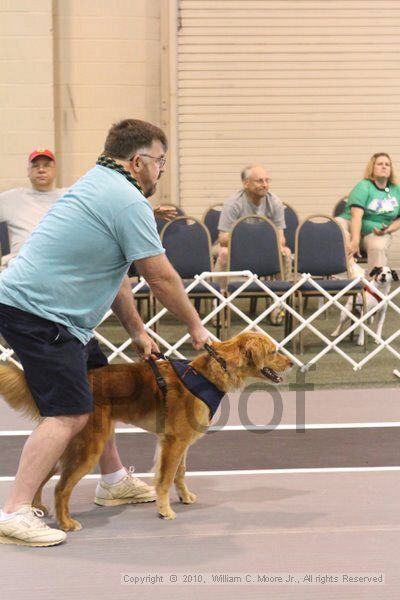 IMG_9109.jpg - Dawg Derby Flyball TournementJuly 11, 2010Classic CenterAthens, Ga