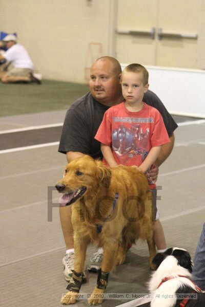 IMG_9114.jpg - Dawg Derby Flyball TournementJuly 11, 2010Classic CenterAthens, Ga