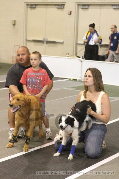 IMG_9115.jpg - Dawg Derby Flyball TournementJuly 11, 2010Classic CenterAthens, Ga