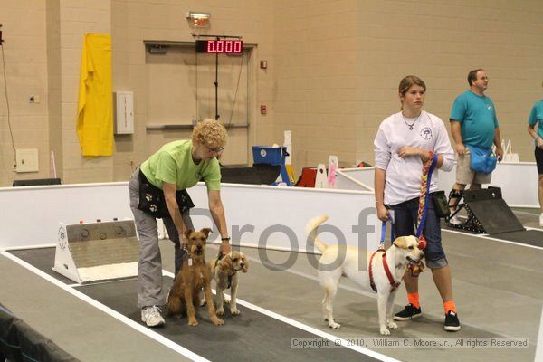 IMG_9151.jpg - Dawg Derby Flyball TournementJuly 11, 2010Classic CenterAthens, Ga
