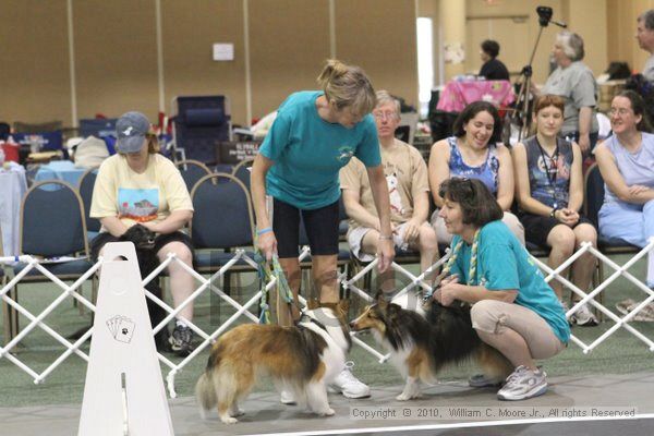 IMG_9153.jpg - Dawg Derby Flyball TournementJuly 11, 2010Classic CenterAthens, Ga