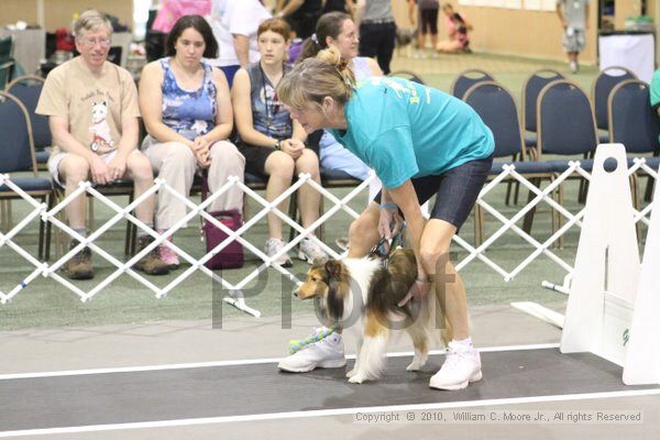 IMG_9157.jpg - Dawg Derby Flyball TournementJuly 11, 2010Classic CenterAthens, Ga