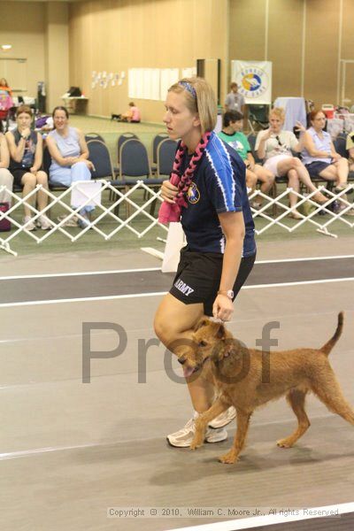 IMG_9160.jpg - Dawg Derby Flyball TournementJuly 11, 2010Classic CenterAthens, Ga