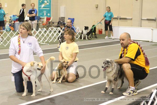 IMG_9180.jpg - Dawg Derby Flyball TournementJuly 11, 2010Classic CenterAthens, Ga