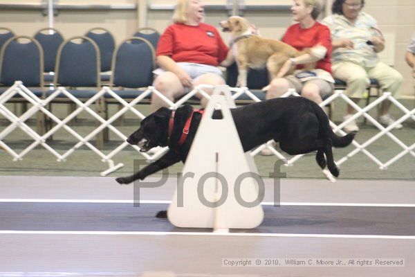 IMG_9233.jpg - Dawg Derby Flyball TournementJuly 11, 2010Classic CenterAthens, Ga