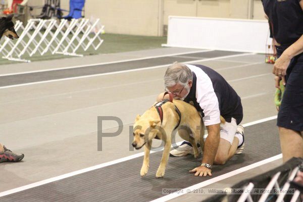 IMG_9264.jpg - Dawg Derby Flyball TournementJuly 11, 2010Classic CenterAthens, Ga