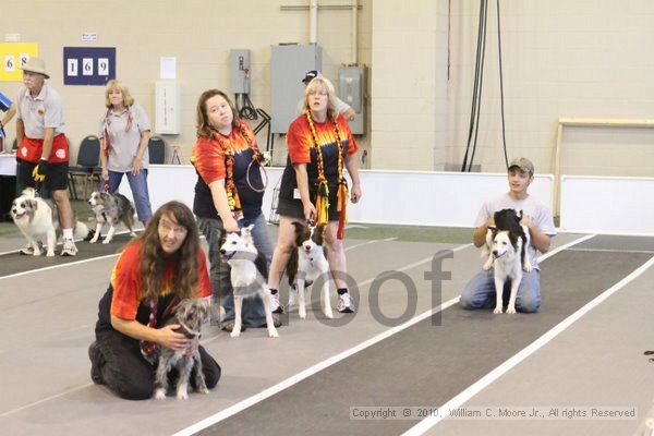 IMG_9271.jpg - Dawg Derby Flyball TournementJuly 11, 2010Classic CenterAthens, Ga