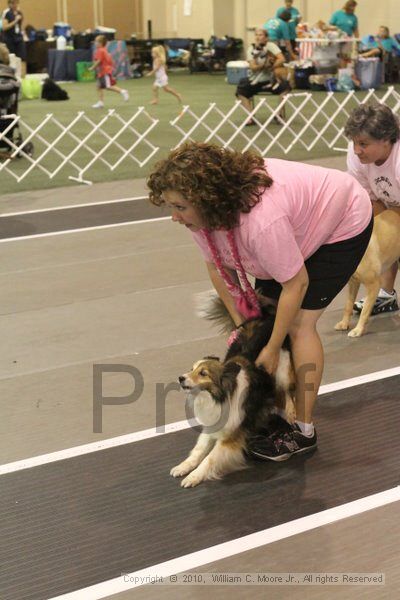 IMG_9296.jpg - Dawg Derby Flyball TournementJuly 11, 2010Classic CenterAthens, Ga