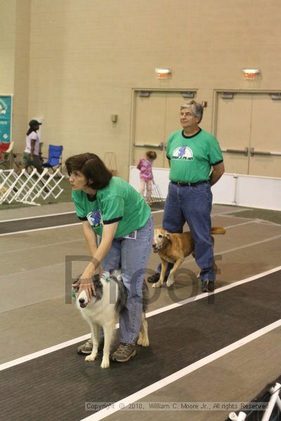 IMG_9300.jpg - Dawg Derby Flyball TournementJuly 11, 2010Classic CenterAthens, Ga