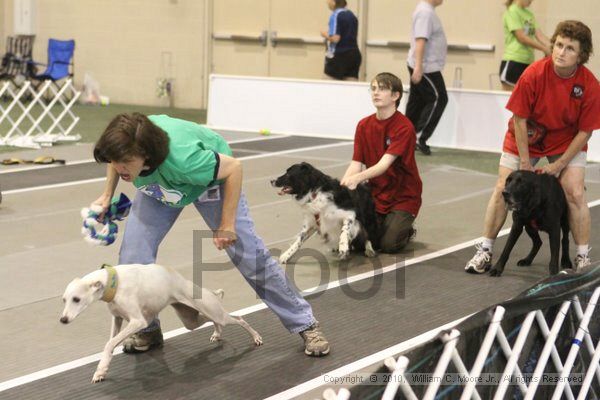 IMG_9322.jpg - Dawg Derby Flyball TournementJuly 11, 2010Classic CenterAthens, Ga