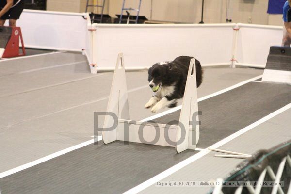 IMG_9389.jpg - Dawg Derby Flyball TournementJuly 11, 2010Classic CenterAthens, Ga