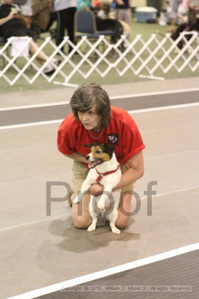 IMG_9447.jpg - Dawg Derby Flyball TournementJuly 11, 2010Classic CenterAthens, Ga