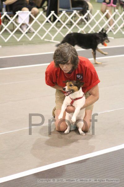 IMG_9448.jpg - Dawg Derby Flyball TournementJuly 11, 2010Classic CenterAthens, Ga